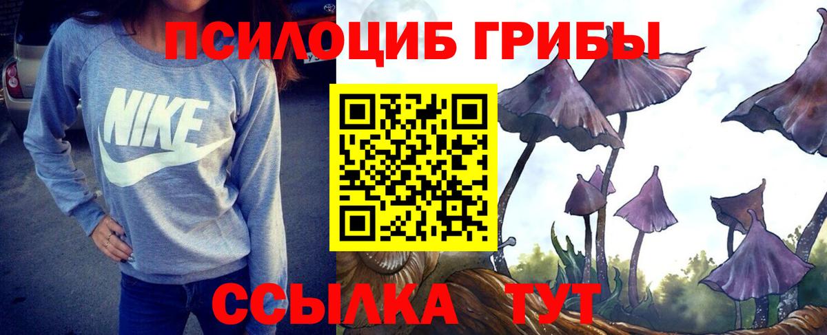 Псилоцибиновые грибы Psilocybine cubensis  Вход с VPN  Чернушка 
